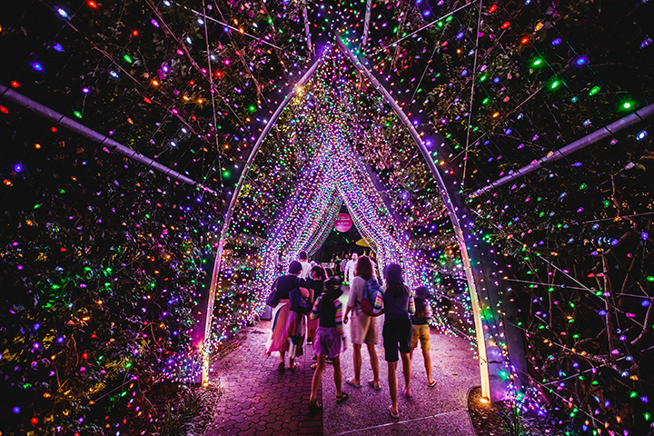 South Bank’s Summer of Wonder Is Bringing the Festive Heat