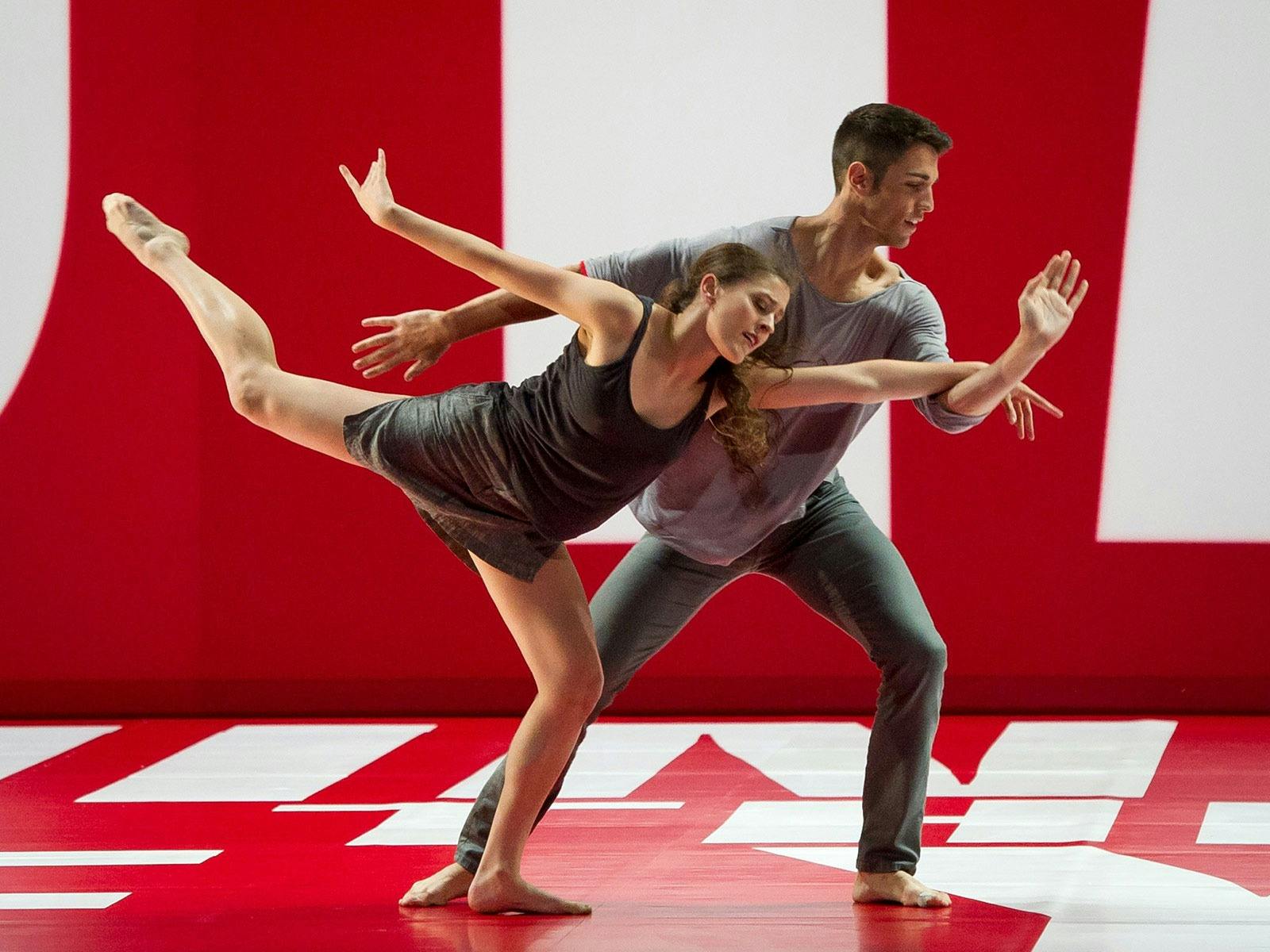 Brisbane Festival Shows To Put On Your Radar ASAP